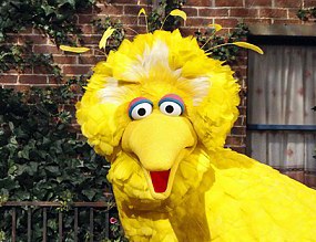 Big Bird is a tool for the Democrats, yes, but also for the Chinese regime