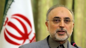 Iranian Atomic Energy Organization director Ali Salehi