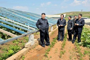 Kim Jong-Un inspects vegetable greenhouses on a farm in South Pyongan.