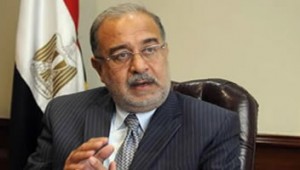 Egyptian Petroleum Minister Sheriff Ismail