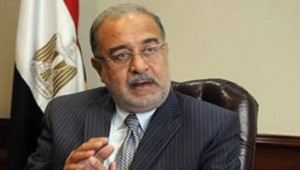 Egyptian Petroleum Minister Sherif Ismail