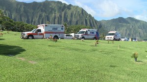 #4 —The strange death of Hawaii’s Department of Health Director, Loretta Fuddy