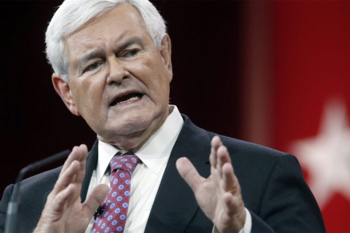 ‘Planner’ Gingrich would take ISIL ‘back to the eight century’ it cherishes