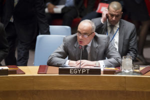 Egyptian Ambassador to the UN Amr Aboulatta. /UN photo