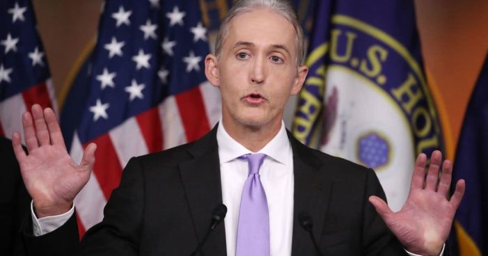 Gowdy: No one elected judges to ‘second guess’ commander in chief on national security