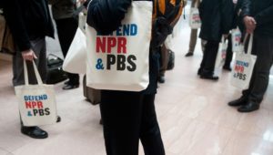 Shock and awe: Trump plan defunds public broadcasting, slashes swamp budgets