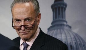 Democrats behaving badly: Schumer loudly berates prominent Trump supporter at posh-restaurant