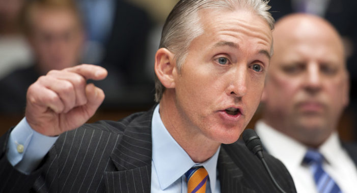 Trey Gowdy defends Intelligence Committee Chairman Nunes with gusto