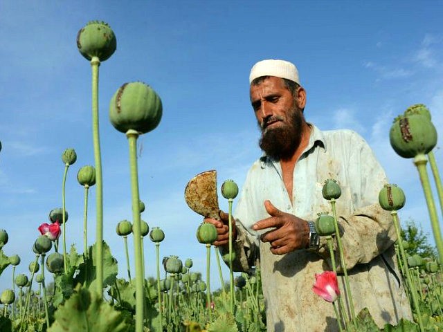 Sixty percent of Taliban funding said derived from illegal opium trade