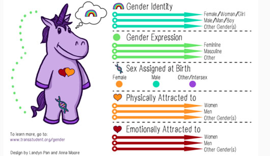 Schools use ‘purple unicorn’ to teach kids as young as 5 about gender identity