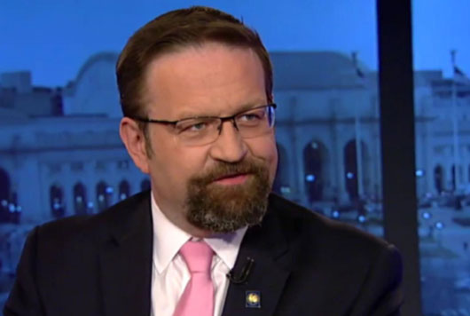 Gorka: Nothing ‘hidden’ about the Deep State, it was ‘overt … in our faces’