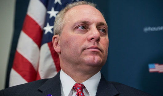 Scalise calls out Democrats: ‘Stand up’, rein in those inciting violence