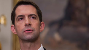 Sen. Cotton: Both Feinstein and lawyers under investigation over ‘victimized’ accuser