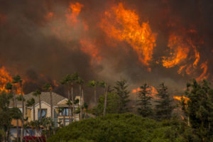 Inconvenient data points on those California wildfires