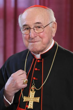 Cardinal: ‘Statistically proven’ that homosexuality is to blame for abuse