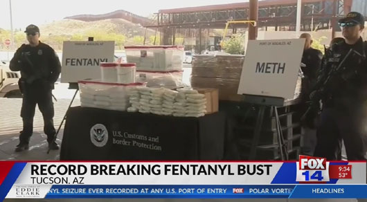 U.S. border patrol seizes, in record bust, enough fentanyl to kill 115 million people