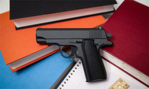 Florida bill allows teachers to bear arms