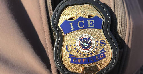 Trump: Starting next week, ICE will begin removing millions of illegals