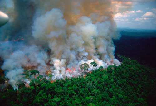 Globaloney? Elite meltdown over Amazon fires raises questions