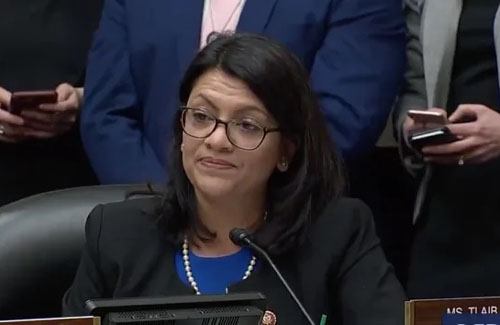 Detroit police chief slams Rep. Tlaib for her ‘racist’ suggestion on facial recognition analysts