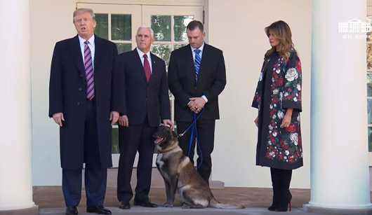 Ruff day for the major media as Trump brings hero dog to the White House