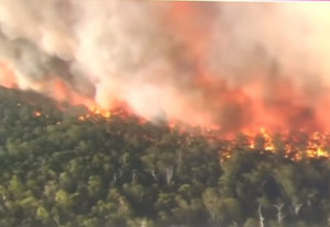 Reports: Many Australia bushfires were deliberately set