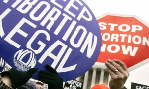 ‘Radically unsettled’: 200 members of Congress ask Supreme Court to reconsider Roe v. Wade
