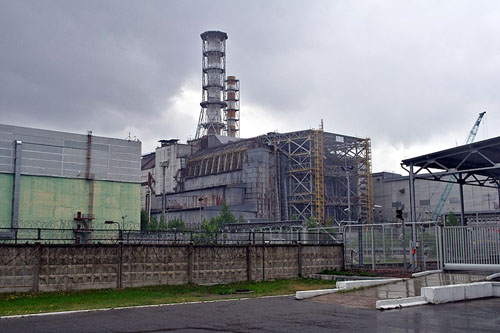 Fungi that eats radiation found inside Chernobyl reactor
