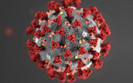 Progress against coronavirus coming from U.S., not rogue states