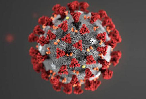 Progress against coronavirus coming from U.S., not rogue states