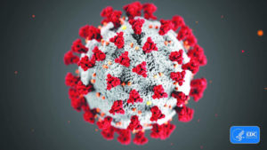 French found 4 additional amino acids in coronavirus, enhancing transmission