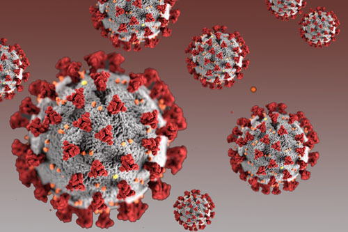 Researchers hopeful new mutation is sign coronavirus is weakening