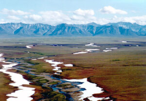 Administration opens 19-million-acre Arctic National Wildlife Refuge for drilling