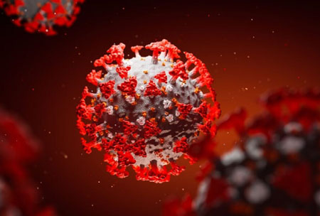 Scientists discover antibody which neutralizes virus that causes covid
