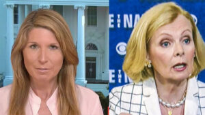 MSNBC’s Nicolle Wallace: Conservative white women should keep their mouth shut
