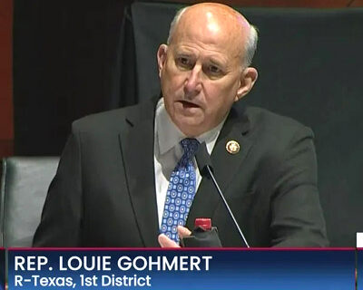 Gohmert: We have ‘fraud allegations that are not allegations’