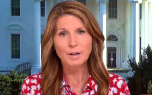 MSNBC’s Nicolle Wallace floats drone strikes on ‘domestic terrorists’