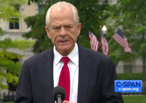 Navarro: Americans need to see some ‘backbone’ from politicians, ‘or this republic is going to perish’