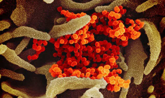 ‘Unnatural contagion’: Israeli expert breaks with consensus of silence on Wuhan virus