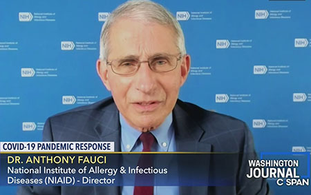 Navarro: Clear signs show Fauci is ‘father of the pandemic’; Mnuchin blocked Trump commission