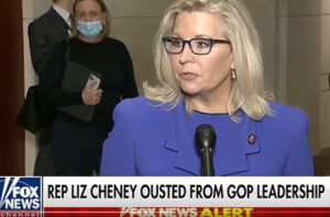 ‘Liz Cheney runs to the cameras after getting ousted’