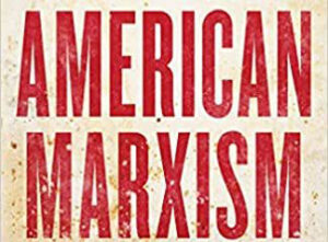 Is ‘American Marxism’ just a ‘cycle’ of history? No, says Levin: We’re being smashed by an ‘iron fist’