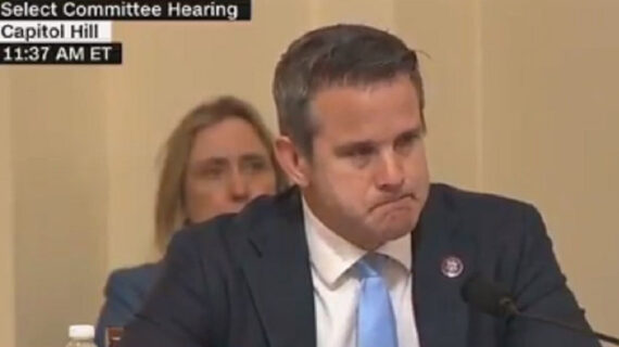 Democrats, RINOs lay it on thick as commission opens: Schiff, Kinzinger weep