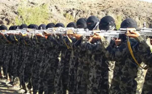 Taliban targets Afghan military’s air superiority; Conquest would restore Sharia Law