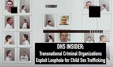 Project Veritas: ‘Every single one of these transnational criminal organizations are involved in sex trafficking’