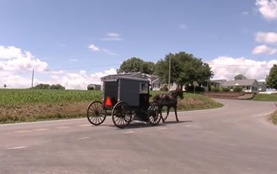 Unreported: How the Amish ignored the government and defeated Covid