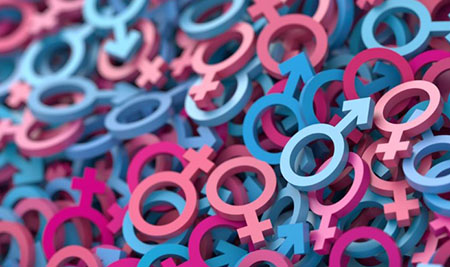 Report: Gender transition closets found in public schools