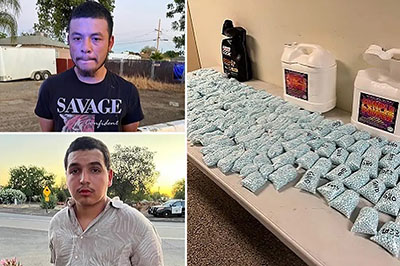 Men caught in California with 150,000 fentanyl pills skip court date after release on cashless bond