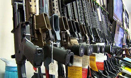 Oregon gun law placed on hold by state judge
