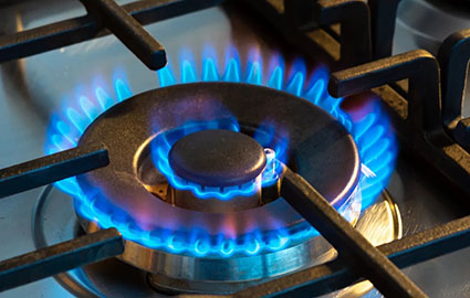 Where did the ban gas stoves idea originate? World Economic Forum, naturally